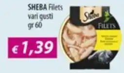Acqua & Sapone Sheba Filets offerta