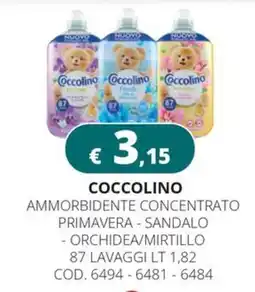 Altasfera Coccolino ammorbidente concentrato offerta