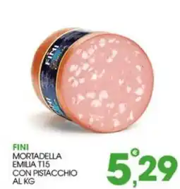 Rosa Cash Fini mortadella emilia t15 con pistacchio offerta