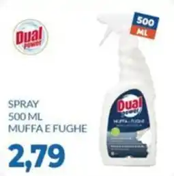 GeD Shopping Dual power spray muffa e fughe offerta