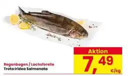 Interspar Regenbogen / Lachsforelle Trota Iridea Salmonata offerta
