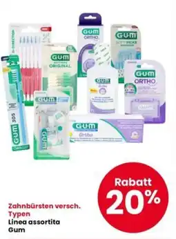 Interspar Zahnbrüsten Linea assortita Gum offerta