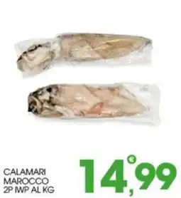 Rosa Cash Calamari Marocco offerta
