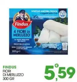 Rosa Cash Findus Fiori di merluzzo offerta