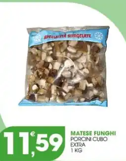 Rosa Cash Matese funghi porcini cubo extra offerta
