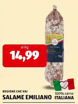 ALDI Salame Emiliano offerta