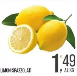 Cash pro Limoni spazzolati offerta