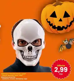 Interspar Maschere assortite offerta