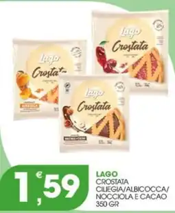 Rosa Cash Lago Crostata offerta