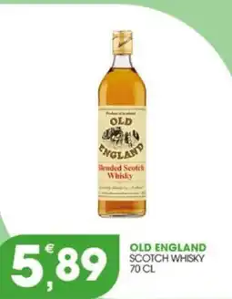 Rosa Cash Old England Scotch Whisky offerta