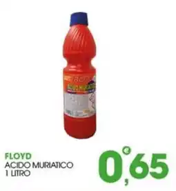 Rosa Cash Floyd acido muriatico offerta
