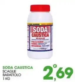 Rosa Cash Soda caustica scaglie barattolo offerta