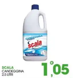Rosa Cash Scala candeggina offerta
