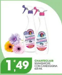 Rosa Cash Chanteclair sgrassatore con candeggina offerta