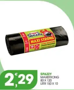 Rosa Cash Spazzy Maxi Strong offerta