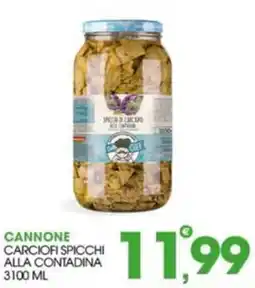 Rosa Cash Cannone carciofi spicchi alla contadina offerta