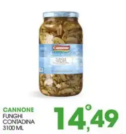 Rosa Cash Cannone funghi contadina offerta