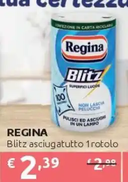 PiùMe Regina Blitz asciugatutto offerta