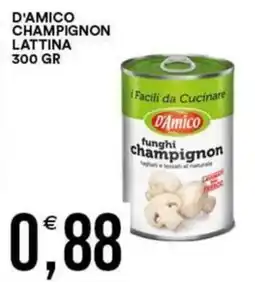 Vantaggio Cash&Carry D'Amico funghi champignon offerta