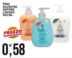 Vantaggio Cash&Carry Pino Silvestre Sapone Liquido offerta