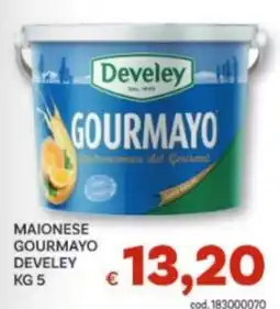 Vivo Supermercati Maionese Gourmayo Develey offerta