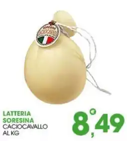 Rosa Cash Caciocavallo Latteria Soresina offerta