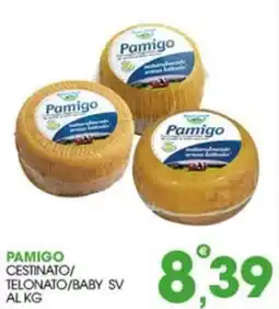 Rosa Cash Pamigo Cestinato/Telonato/Baby SV offerta