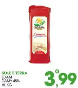 Rosa Cash Sole e Terra Edam Damy 45% offerta