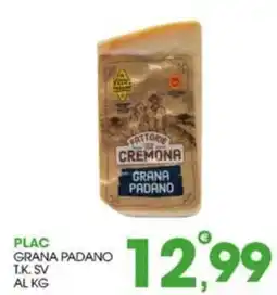 Rosa Cash Fattorie di Cremona Grana Padano offerta