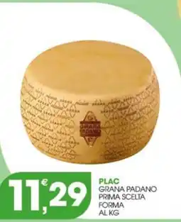 Rosa Cash Plac Grana Padano Prima Scelta offerta