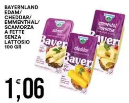 Vantaggio Cash&Carry Bayerland formaggi a fette senza lattosio offerta