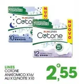 Rosa Cash Lines Cotone offerta