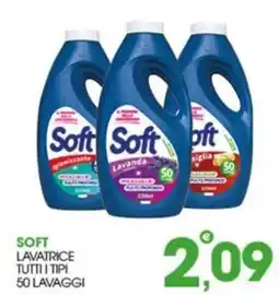 Rosa Cash Soft lavatrice offerta