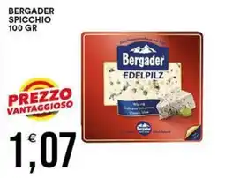 Vantaggio Cash&Carry Bergader edelpilz offerta