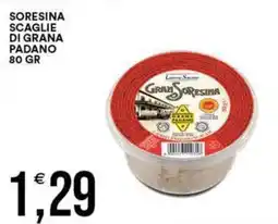 Vantaggio Cash&Carry Scaglie di grana padano SoreSina offerta