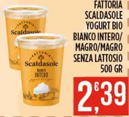 Euroesse Fattoria Scaldasole Yogurt Bio Bianco Intero offerta