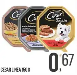 Cash pro Cesar Ricette Classiche offerta