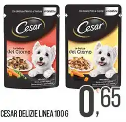 Cash pro Cesar Delizie Linea offerta