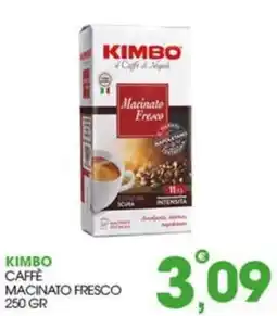 Rosa Cash Kimbo caffè macinato fresco offerta