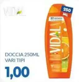 GeD Shopping Doccia Vidal offerta