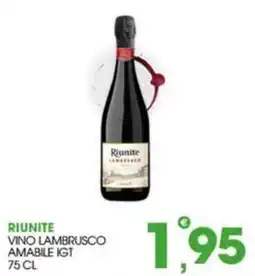 Rosa Cash Riunite Vino Lambrusco Amabile IGT offerta