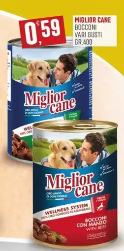 Marketpiù Miglior cane Bocconi offerta