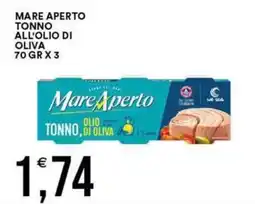 Vantaggio Cash&Carry Mare Aperto tonno all'olio di oliva offerta