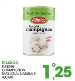 Rosa Cash D'Amico funghi champignon offerta