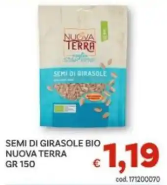 Semi di girasole bio Nuova Terra
