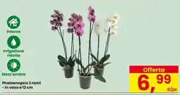 Eurospar Phalaenopsis 2 rami offerta