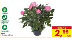 Eurospar Rosa offerta