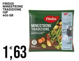 Vantaggio Cash&Carry Findus Minestrone Tradizione offerta