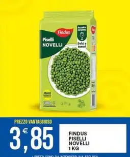 Vantaggio Cash&Carry Findus Piselli Novelli offerta