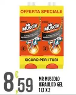 Euroesse Mr Muscle idraulico gel offerta